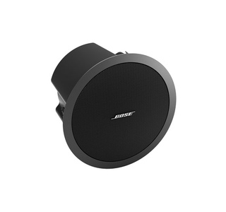 Bose FreeSpace DS 100F изображение/фото/картинка